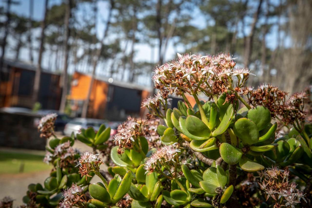 Bungalow B9 - Nature, Beach & River Fão Exterior foto